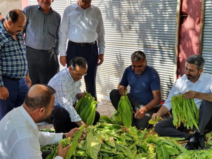 Ak Parti Heyeti Kahta’nın Merkez Ve Köylerini Gezdi