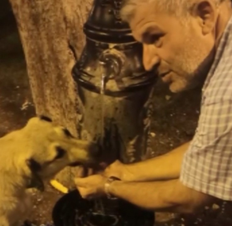 Susuz Kalan Köpeğin Yardımına Polis Yetişti