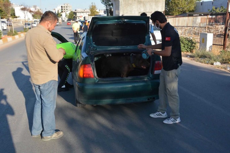 Huzur Uygulamasında 3 Bin 71 Kişinin Sorgusu Yapıldı