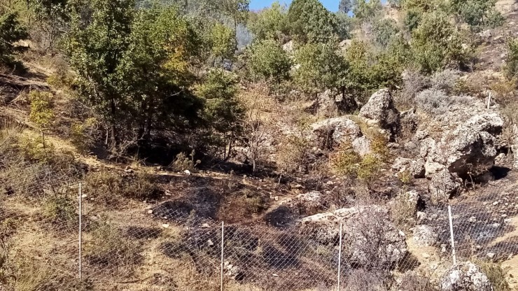 Gölbaşında Ormanlık Alanda Çıkan Örtü Yangını Söndürüldü