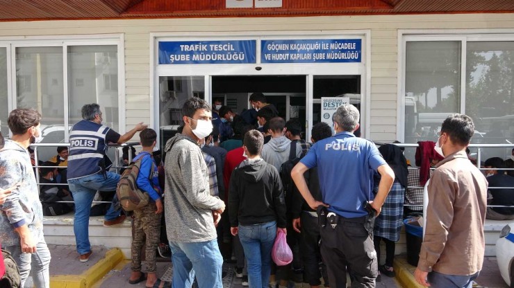 Bekçiler Kamyonet Kasasında 78 Kaçak Göçmen Yakaladı