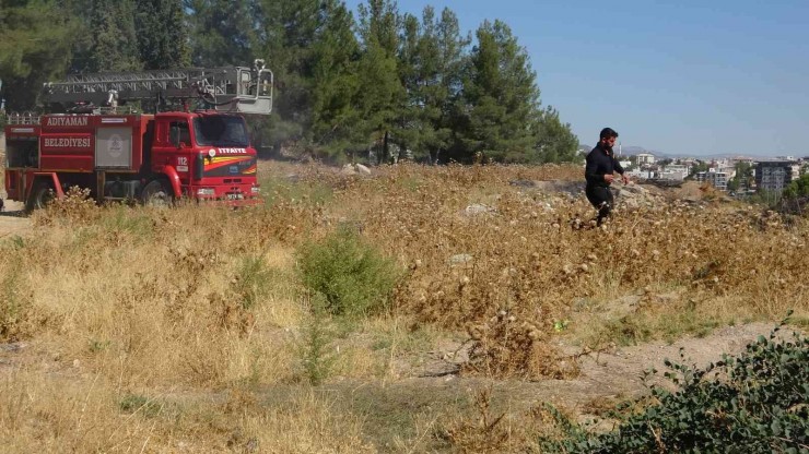 Otluk Yangını Çamlık Alana Sıçramadan Söndürüldü