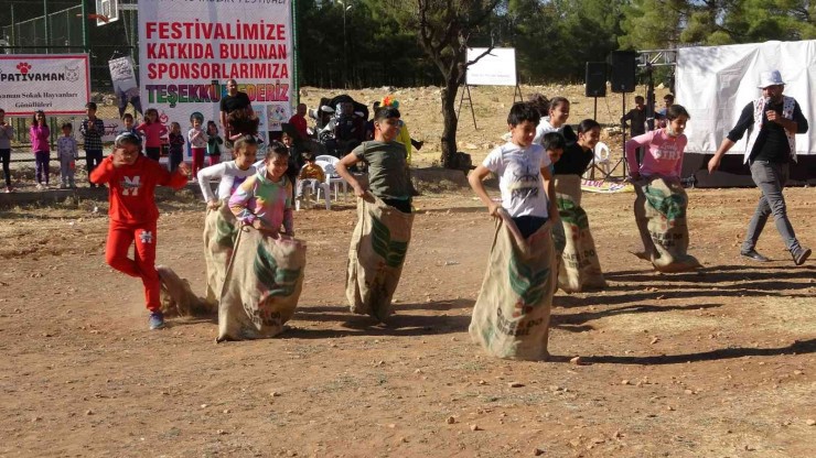 7 Renk Tek Yürek Festivali’nde Doğada Kamp Keyfi