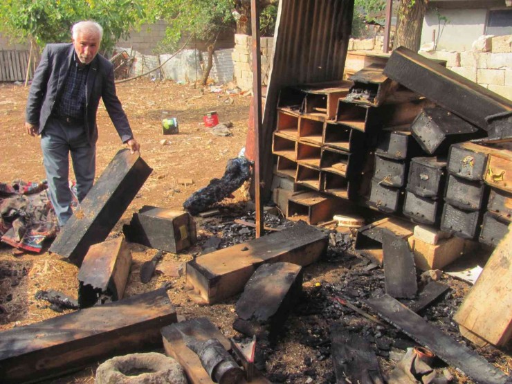 25 Arı Kovanı Yandı Binlerce Arı Telef Oldu