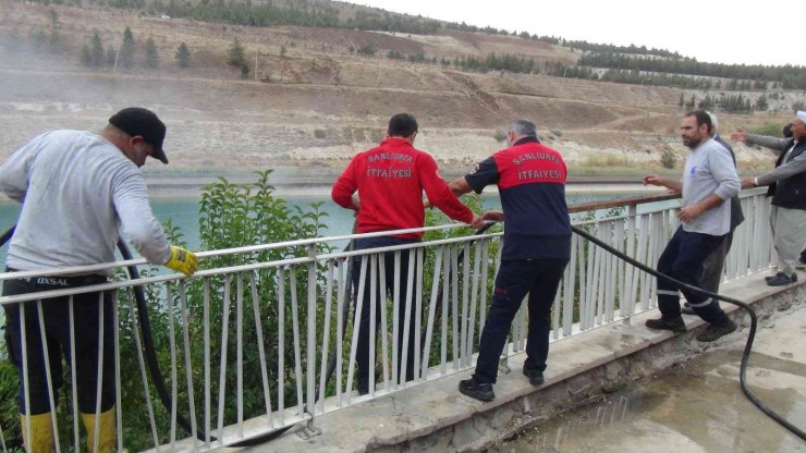Yakılan Otlar Yangına Neden Oldu