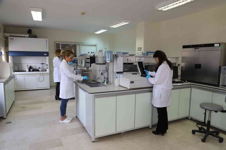 Diski Laboratuvarları Günlük 125 Numunenin Analizini Yapıyor