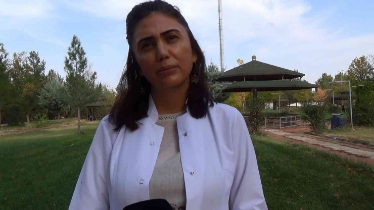 Diyarbakır Ve Çevresinde Etkili Olan Yağışlar Çiftçinin Yüzünü Güldürecek