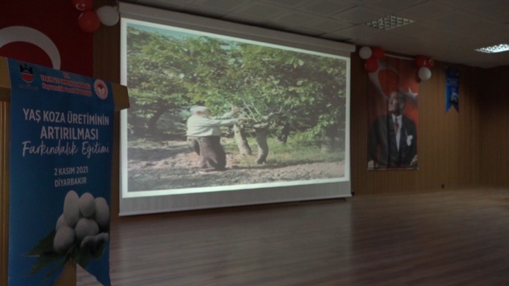 Kulp’ta Üreticilere, Yaş Koza Üretiminin Artırılması Eğitimi
