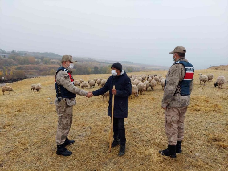 Kayıp Koyunları Jandarma Drone İle Buldu