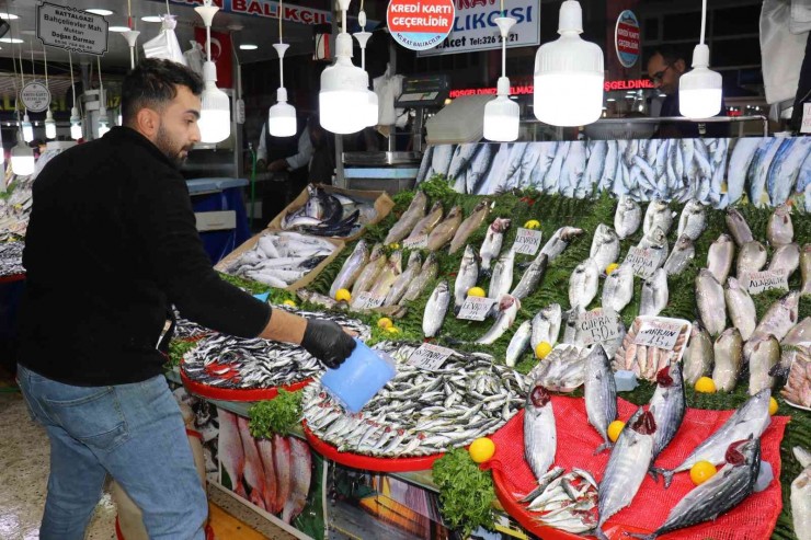 Malatya’da Havalar Soğudu Balığa Talep Arttı