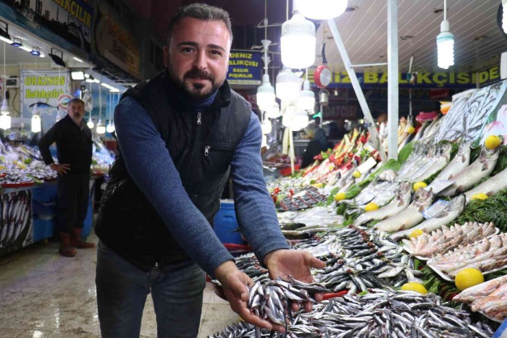 Malatya’da Havalar Soğudu Balığa Talep Arttı