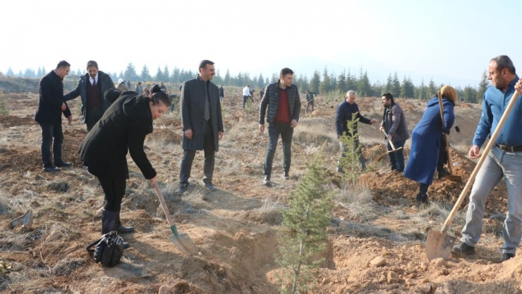 Betül Dürgen Hatıra Ormanı’na 250 Fidan