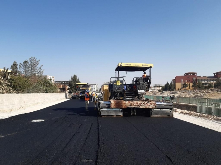 Beyazgül Ceylanpınar İlçesinde Çalışmaları İnceledi