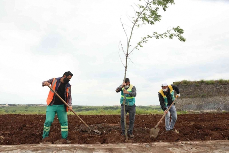 Diyarbakır’da 2021 Hizmetlerle Geçti