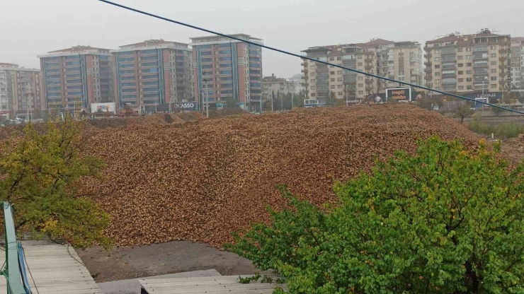 Şeker Market Açılış İçin Gün Sayıyor