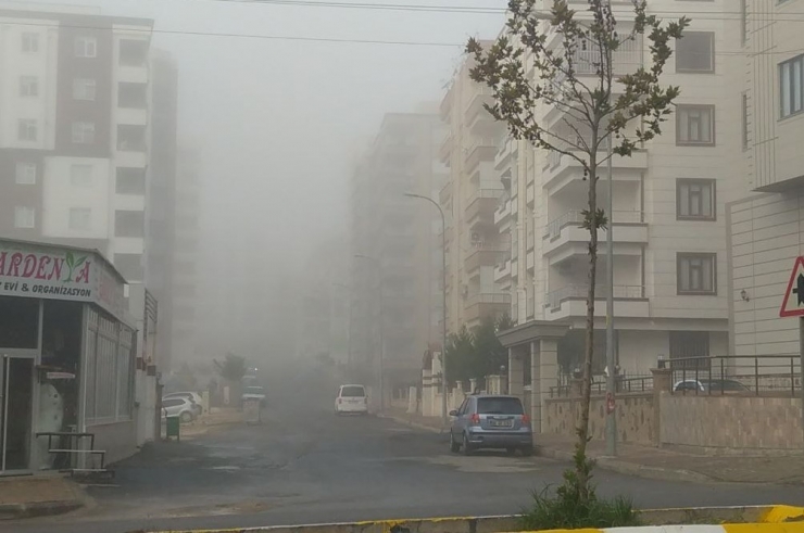 Şanlıurfa Güne Sisle Uyandı