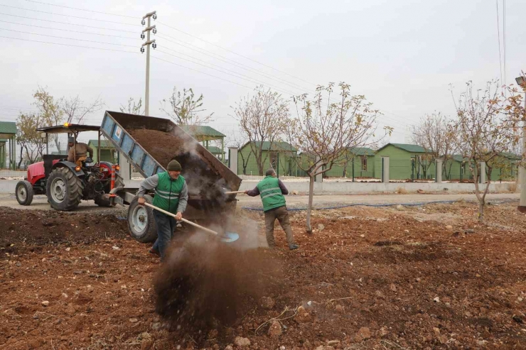 Şanlıurfa’da Vektör İle Mücadele Sıkı Tutuluyor