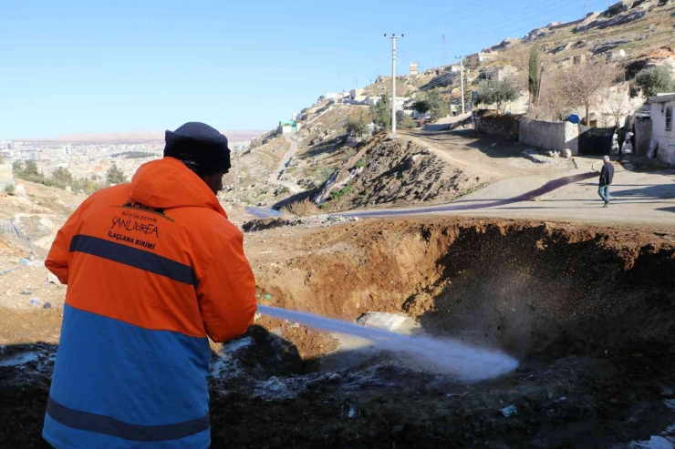 Şanlıurfa’da Vektör İle Mücadele Sıkı Tutuluyor