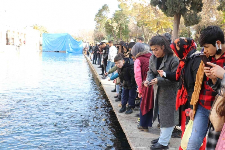 Kış Ortasında Güneşin Tadını Çıkardılar