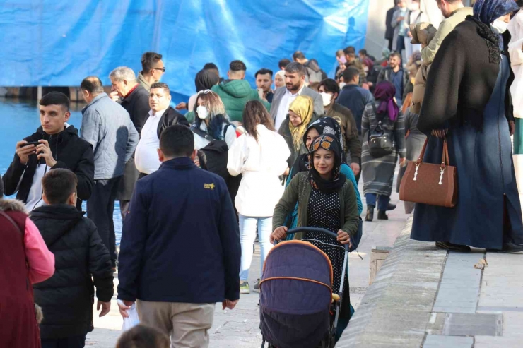 Kış Ortasında Güneşin Tadını Çıkardılar