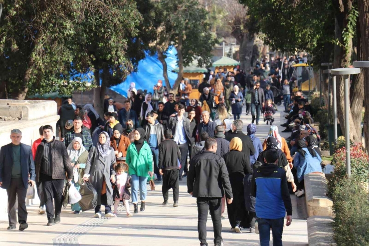 Kış Ortasında Güneşin Tadını Çıkardılar