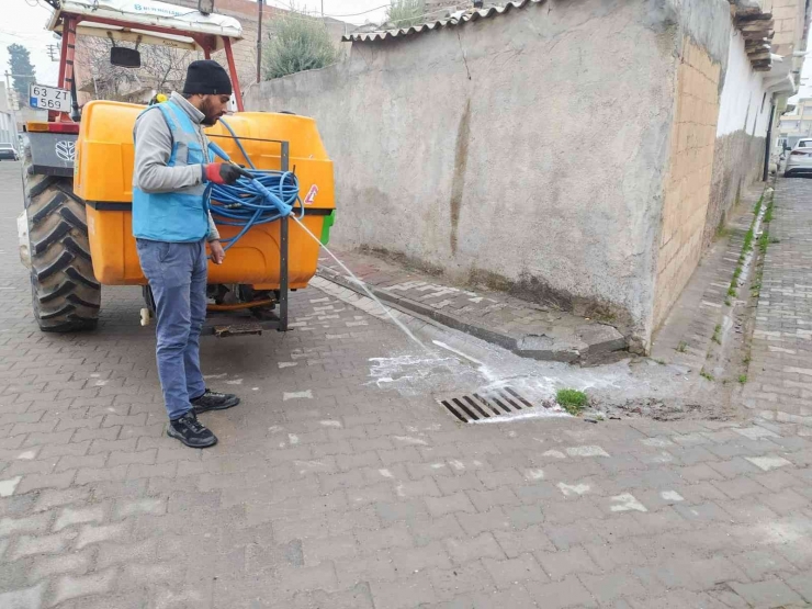 Suriye Sınırında Şark Çıbanı Alarmı