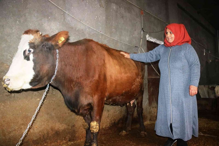 Diyarbakır’da Kırsal Mahallenin ‘tek Kadın Muhtarı’ Koltuğu Eşinden Aldı