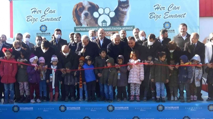 Diyarbakır Ve Çevresinde Bulunan Sokak Hayvanları İçin 5 Yıldızlı Yuva Açıldı