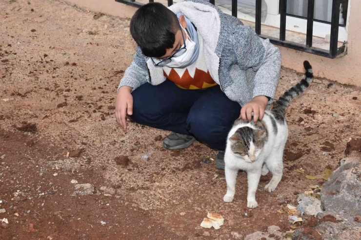 Üşüyen Kedinin Üstüne Hırkasını Örten Çocuk İha’ya Konuştu