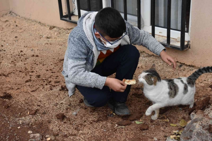 Üşüyen Kedinin Üstüne Hırkasını Örten Çocuk İha’ya Konuştu