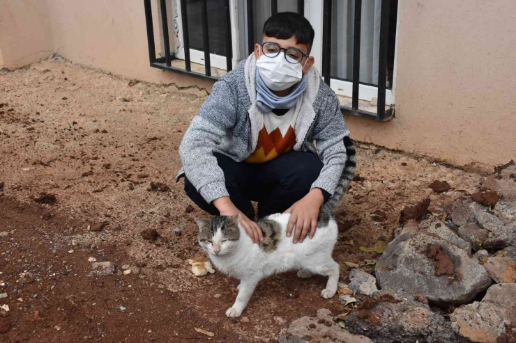 Üşüyen Kedinin Üstüne Hırkasını Örten Çocuk İha’ya Konuştu