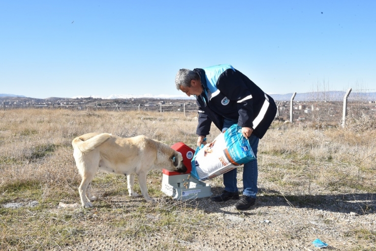 Battalgazi’de Can Dostlar İçin 19 Yeni Besleme Noktası