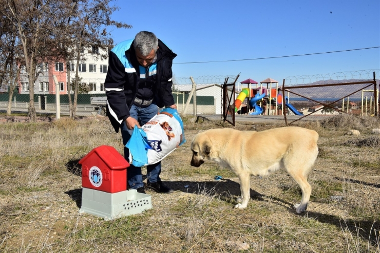 Battalgazi’de Can Dostlar İçin 19 Yeni Besleme Noktası