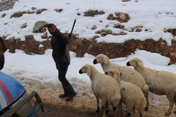 Kaymakam Türkoğlu, Karlı Yolları Açma Çalışmalarını Denetledi