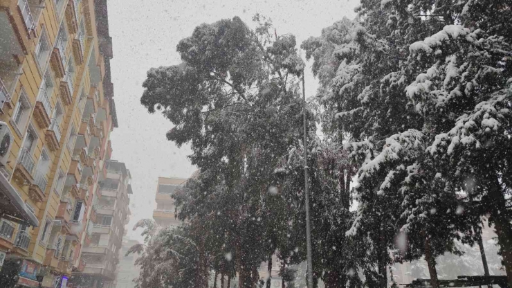 Gaziantep’te Yoğun Kar Yağışı Nedeniyle Ağaçlar Devrildi