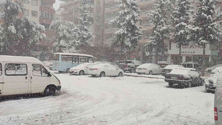 Gaziantep’te Yoğun Kar Yağışı Nedeniyle Ağaçlar Devrildi