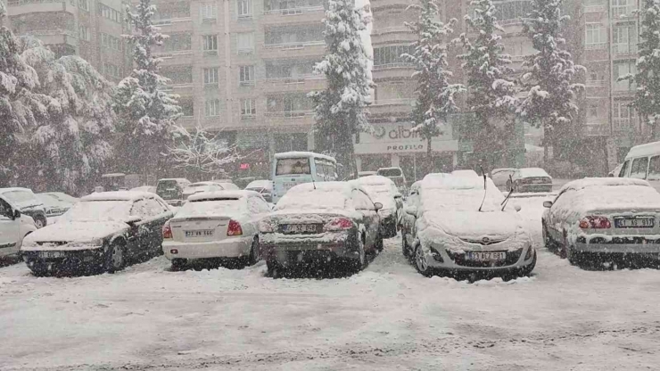 Gaziantep’te Yoğun Kar Yağışı Nedeniyle Ağaçlar Devrildi