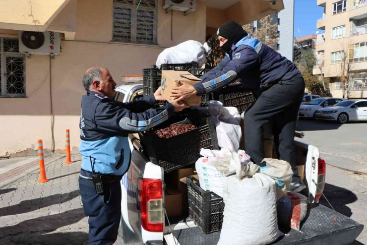 Şanlıurfa’da Satışa Hazır 6 Ton Küflenmiş Hurmaya El Konuldu