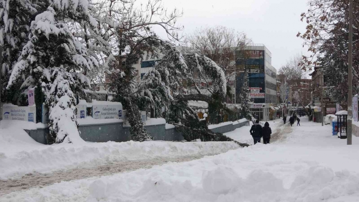 Ağaçlar Devrildi, Araçlar Yolda Mahsur Kaldı