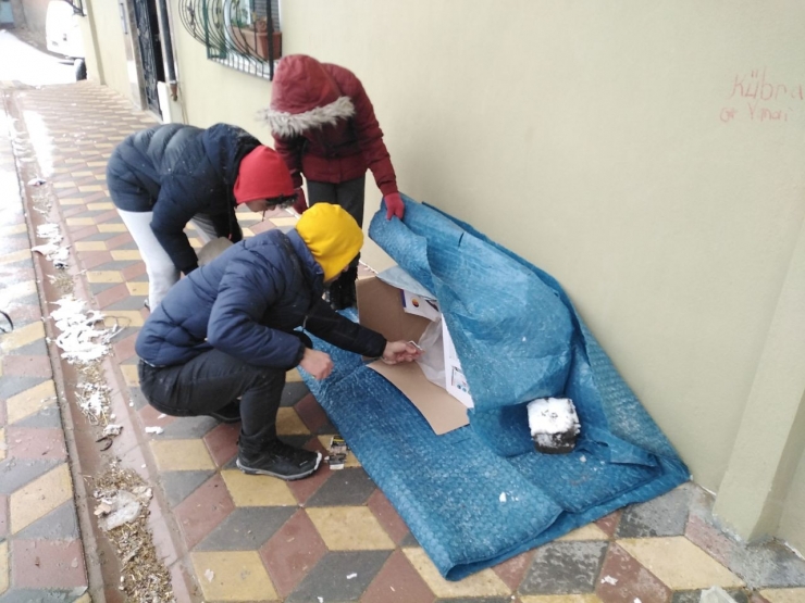 Kar Yağışı Sonrası Aç Kalan Hayvanlara Çocuklar Sahip Çıktı
