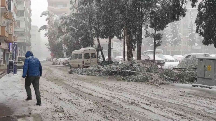 Gaziantep’te Kardan Çatılar Çöktü, Ağaçlar Kırıldı