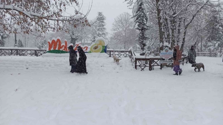 Malatya’da Kar Yağışı Kartpostallık Görüntüler Oluşturdu