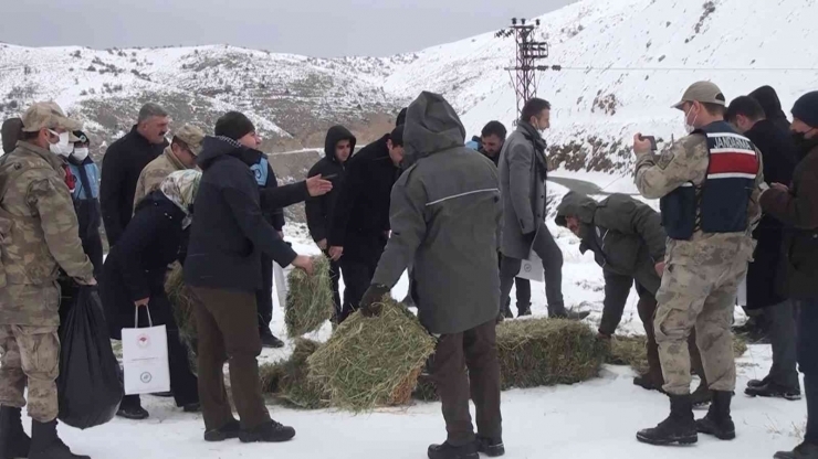 Pütürge’de Yaban Hayvanları Unutulmadı