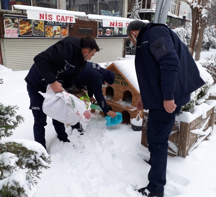 Yenişehir Belediyesi ‘can Dostları’ Unutmadı