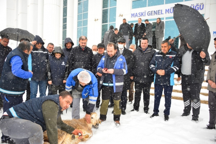 Malatya’da Yoğun Kar İçin Şükür Kurbanı