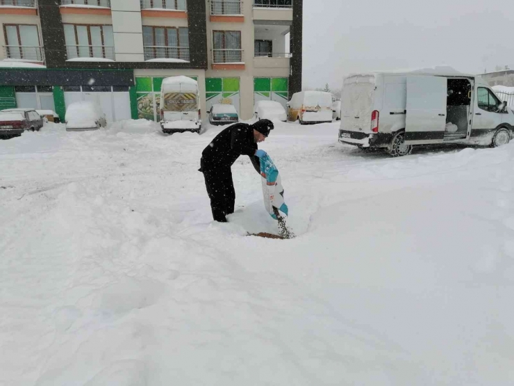 Yeşilyurt’ta Sokak Hayvanları Unutulmadı