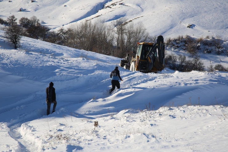 Battalgazi’de ‘tavukları’ Telef Olmaktan Ekipler Kurtardı