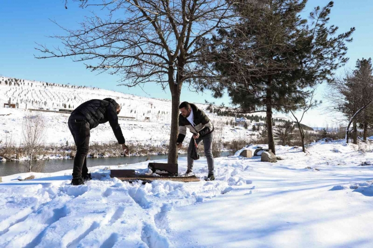 Diyarbakır’da ’can Dostlara’ 1 Ton 700 Kilogram Mama Bırakıldı