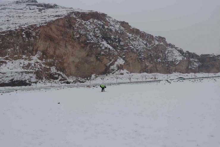 Şanlıurfa’da Sokak Hayvanları Unutulmadı