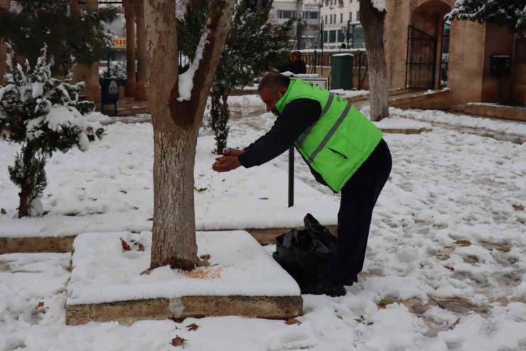 Şanlıurfa’da Sokak Hayvanları Unutulmadı